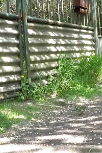 Latina Hussy Samira Plays A Little Naughty Costume Fun As She Dresses Her Leather Cuffs