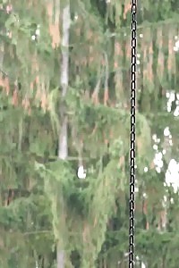 Magnificent Pregnant Chick Having Fun With Her Great Pregnant Jugs And Revealing Her Hairy Pussy