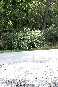 Dirty Indian Arhuarya Having Fun With Her Big Jugs While Jumping A Swollen Cock With Her Pussy