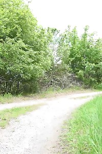 Desiring Blonde Bimbo Having Oral And Ass Drill