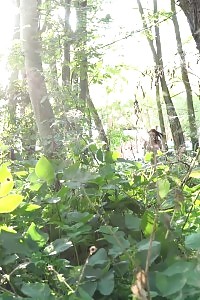 Magnetizing Latina Cardina Impales Her Smooth Muff On A Giant Cock While She Licks On A Hose