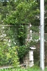 Passionate Ginger Spread Her Pregnant Stomach And Emptying Out Her Fuck Hole In This Amazing Fuck Pic