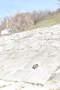 Blonde Porn Actress Having Fun With Her Ample Boobies And Gets Wild Body Pounding And Lips Creaming