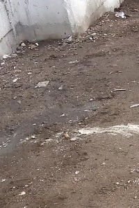 Oversexed Fury Lets 2 Boys Plug Her Arsehole