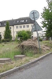 Magnetic Pregnant Chick Fondles With Her Big Meaty Breasts And Burying A Toy In Her Cooch