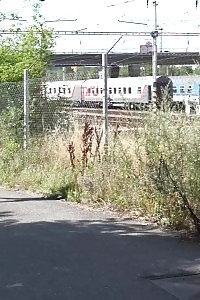 Kitty Langdon And Ava Devine Are Fat Breasted Sexy Acting Against Each Other In Riding A Tremendous Cock