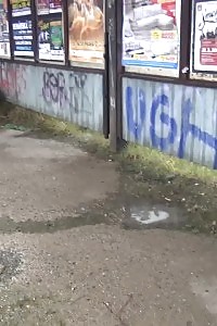 Pictures Of Couple Beddable Porn Queens Sizing Up A Giant Cock With Their Mouths And Pounding It Cowgirl