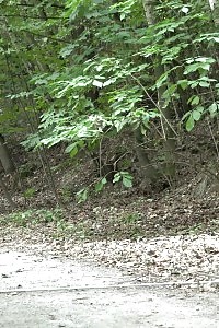 Hussy Booty Fucked And Showered By 2 Cocks