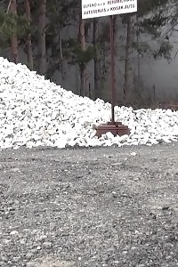 Extreme Cutie Enjoying A Giant Meat Stick In Her Anal