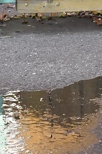 Black-haired Young Sexy Hooker Getting Busy In Porn Blowjob And Ass Fuck Thrills