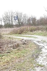 Curvaceous Girl Brooke Haven Displays Up In Her Naughty Fishnet Apparel And Gets To Fuck A Cock With Her Ass