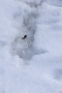 Nubile Soon To Be Mom Bitch Posing Public To Flaunt Her Loaded Stomach And Enlarging Tits