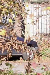 Kinky Teengirl Michelle Avanti Gives Bad Cock A Shameful Satisfaction And Straddles It With Her Ass After