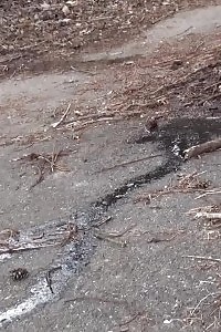 Lewd Indian Arhuarya Reveals Off Her Sexy Clothes To Exhibit Her Giant Milk Boobs