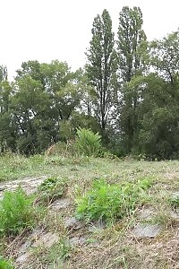 Naughty Harlot Stuffs Her Sexy Twat With A Giant Toy