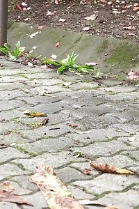 Lascivious Big-breasted Doll Flashing Off Her Deluxe Undies