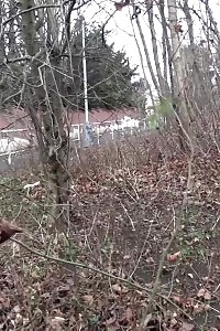 Lusty Blonde Cheerleader Fucking And Sucking A Happy Pizza Delivery Boy And Gets Dirty Facial