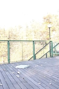 Black Milf To Be Burying Her Cooze With Toys