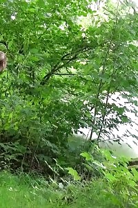 Playful Cunt-chaser Getting Caned By 3 Adorable Babes