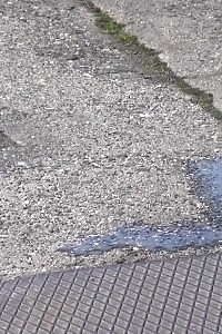 Ophelia And Polina Take Action In A 3some With Their Fine-looking Boy As They Give Him Ass And Blowjob Beauty