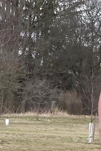 Curvacious Haired Blonde Unclothing Nylon With Cunt Pics