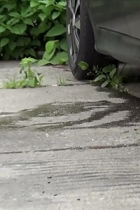 Oversexed Blonde Chicks Hard Ass Fuck Pumping