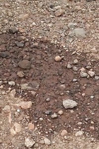 Big-breasted Blonde Exhibits Her Goods And Let 2 Boys Pound Her Clam And Willing Anal