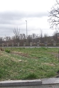 Fabulous Ginger Having Fun With Her Cunt Before A Boy Steps In A Hump Her Ass With His Cock