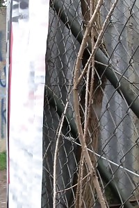 Outstanding Hottie Gets Stay After Her Lesson And Gets Tender Ass Slapping From Her Professor