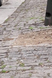 Playful Asian Kaiya Lynn Demonstrates By The Swimming Pool To Let You See Her Fuck And Pair Of Sexy Legs