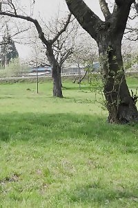 Elegant Sassy With Angelic Fleshy Ass Gets Sausage Wallet Rubbing And Intense Ass Fucking
