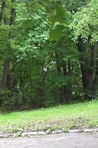 Lewd Blonde Getting High With Ass Fucks
