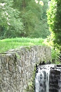 Porn-star With A Bubble Thick Butt Poses It All To Ram Her Ass With A Revved Up Boy Cock