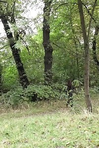 Flexible Doll Lesbians Go All Out By Bringing Off Their Panties And Grinding Their Firm Twats