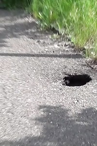 Beauty Redheaded Model Does A Strip Show And Let 3 Boys Cram Her Anal And Cunt With Cocks