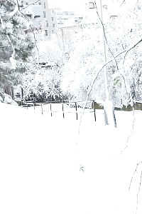 Ginger Shannon Kelly Deepthroats A Black Dick And Got Her Labia And Booty Pumped In This Interracial Story