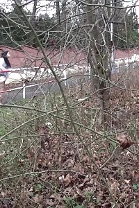 Lusty Blonde Cheerleader Fucking And Sucking A Happy Pizza Delivery Boy And Gets Dirty Facial