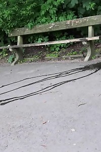 Seductive Red-haired Spreads Her Thick Ass Wide To Take Dick Dipping In Her Ass Hole