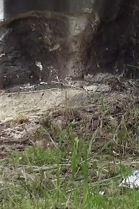 Magnetic Girl Accept Her Fleshy Ass And Gets Terrible Booty Spanking From Her Boss