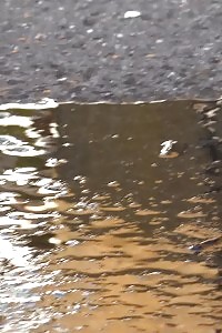 Black-haired Young Sexy Hooker Getting Busy In Porn Blowjob And Ass Fuck Thrills