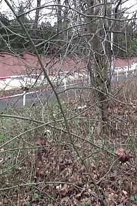 Lusty Blonde Cheerleader Fucking And Sucking A Happy Pizza Delivery Boy And Gets Dirty Facial